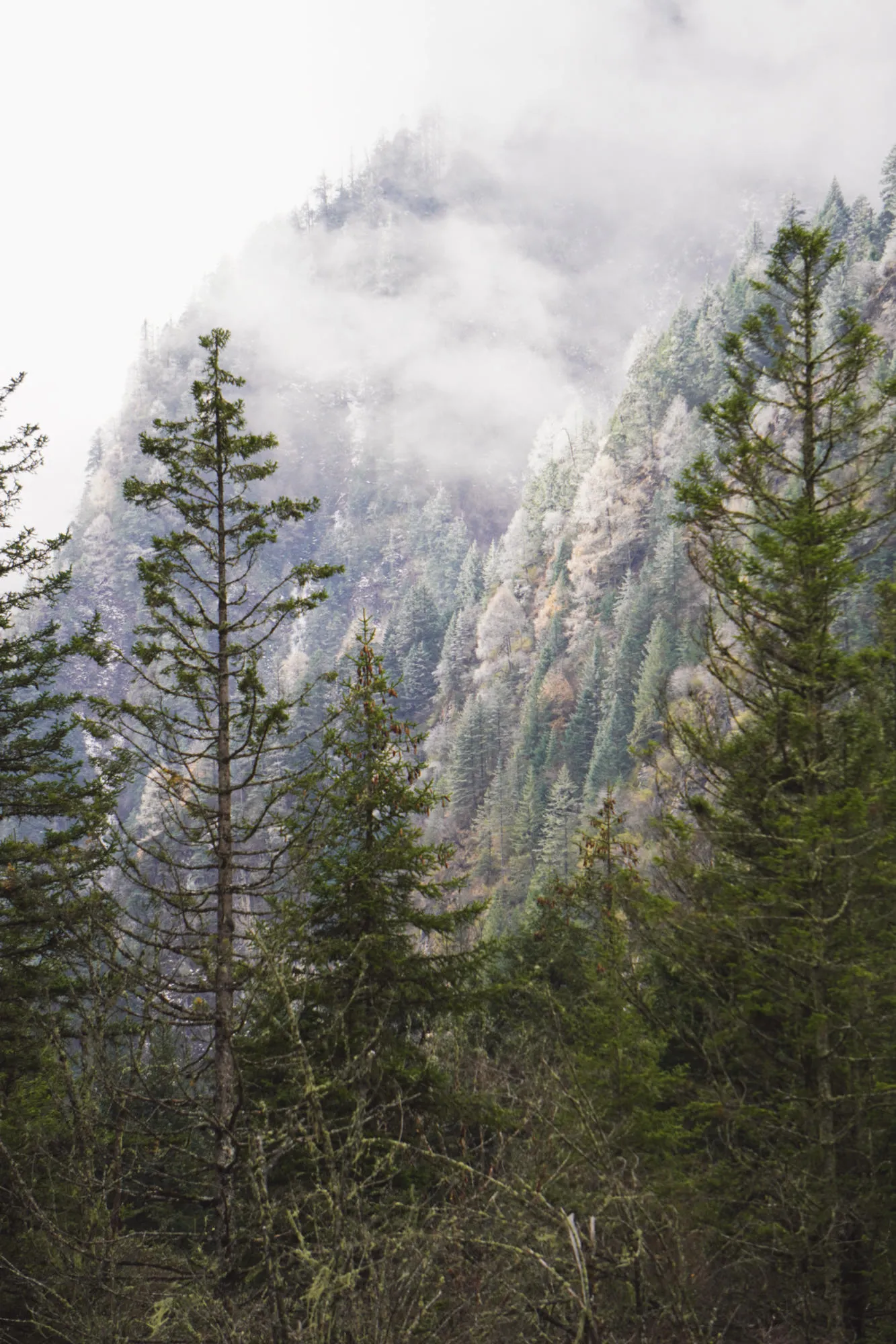 Nature