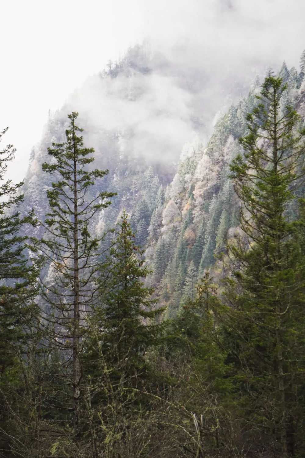 Nature