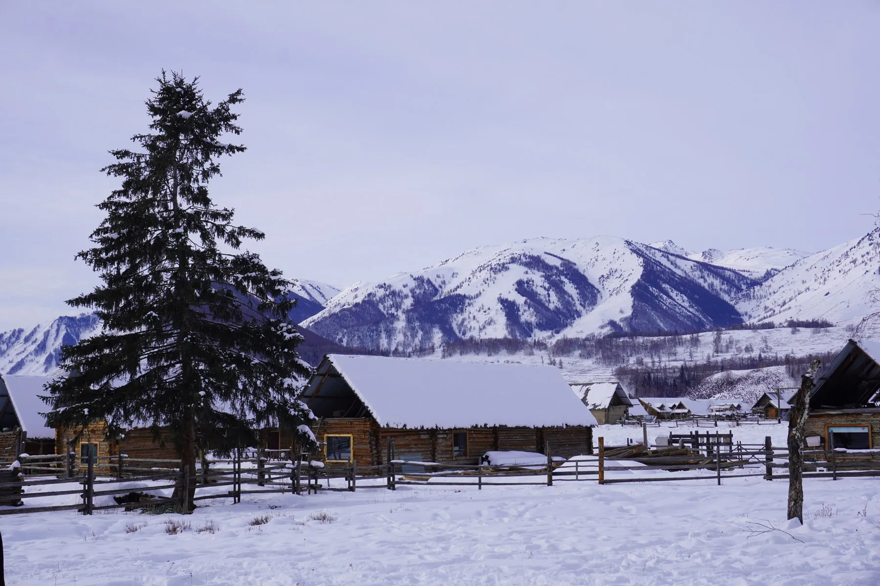 Altay