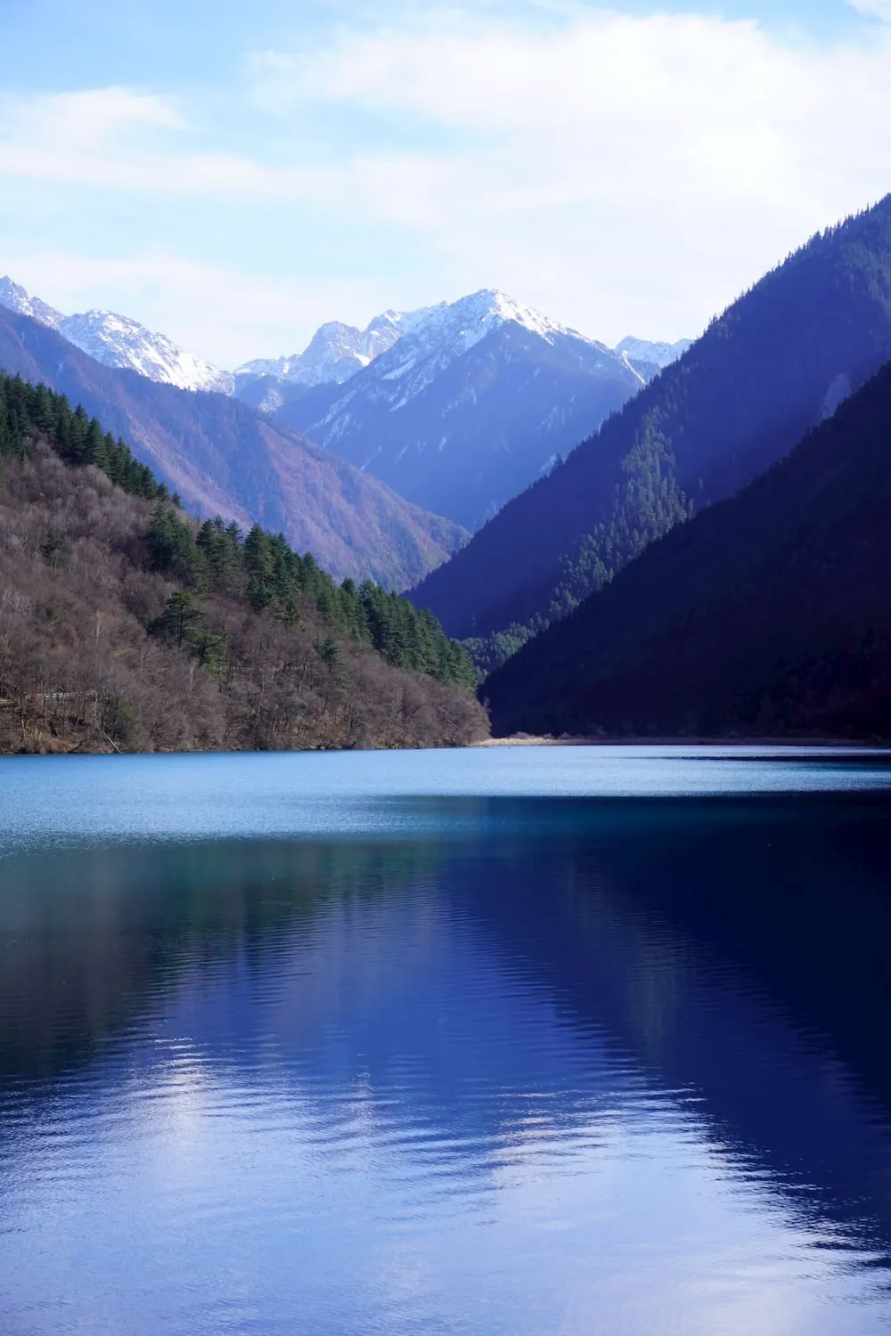 Nature